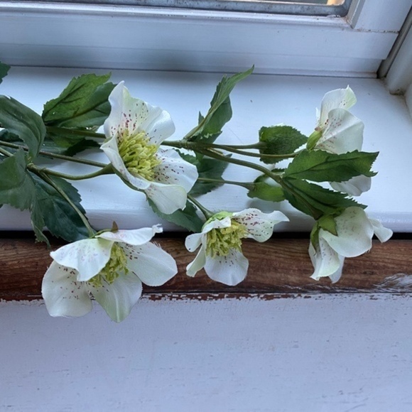 Anthropologie Other - Anthropologie Terrain Faux Dogwood Stem